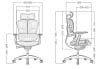 Evolution X Ergonomic High Back Chair (Singapore 1st 9D Armrest) - Image 8