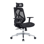 Ergonomic Office Chairs in Singapore