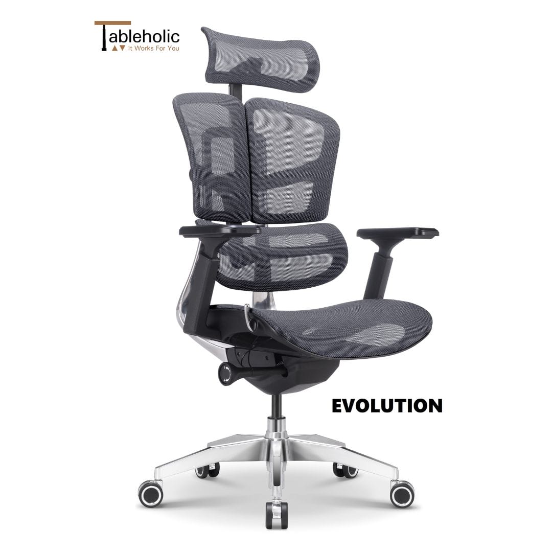 Evolution Chair