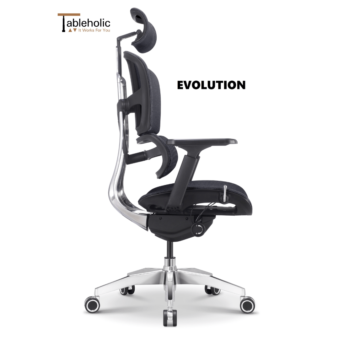 Evolution Chair