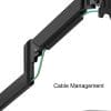 Single Gas Arm - Image 3