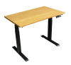 Dual Motor Electric Standing Desk | E-Desk