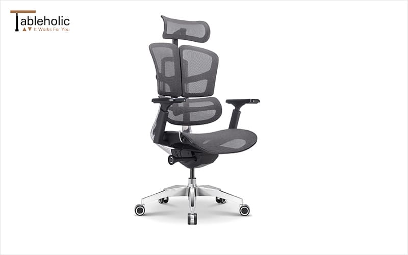 ergonomic mesh chair with lumbar support