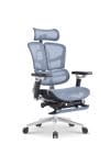 Evolution X Ergonomic High Back Chair (Singapore 1st 9D Armrest) - Image 10